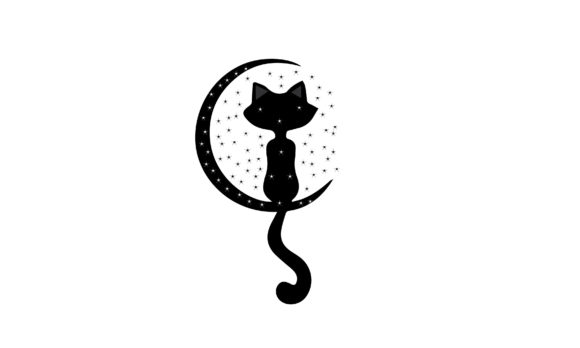 Cat Designer Collar Review