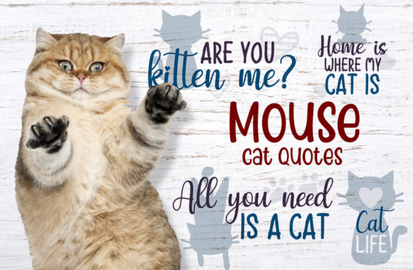 Mouse, Cat Quotes: A Designer’s Take on Feline-Friendly Embroidery